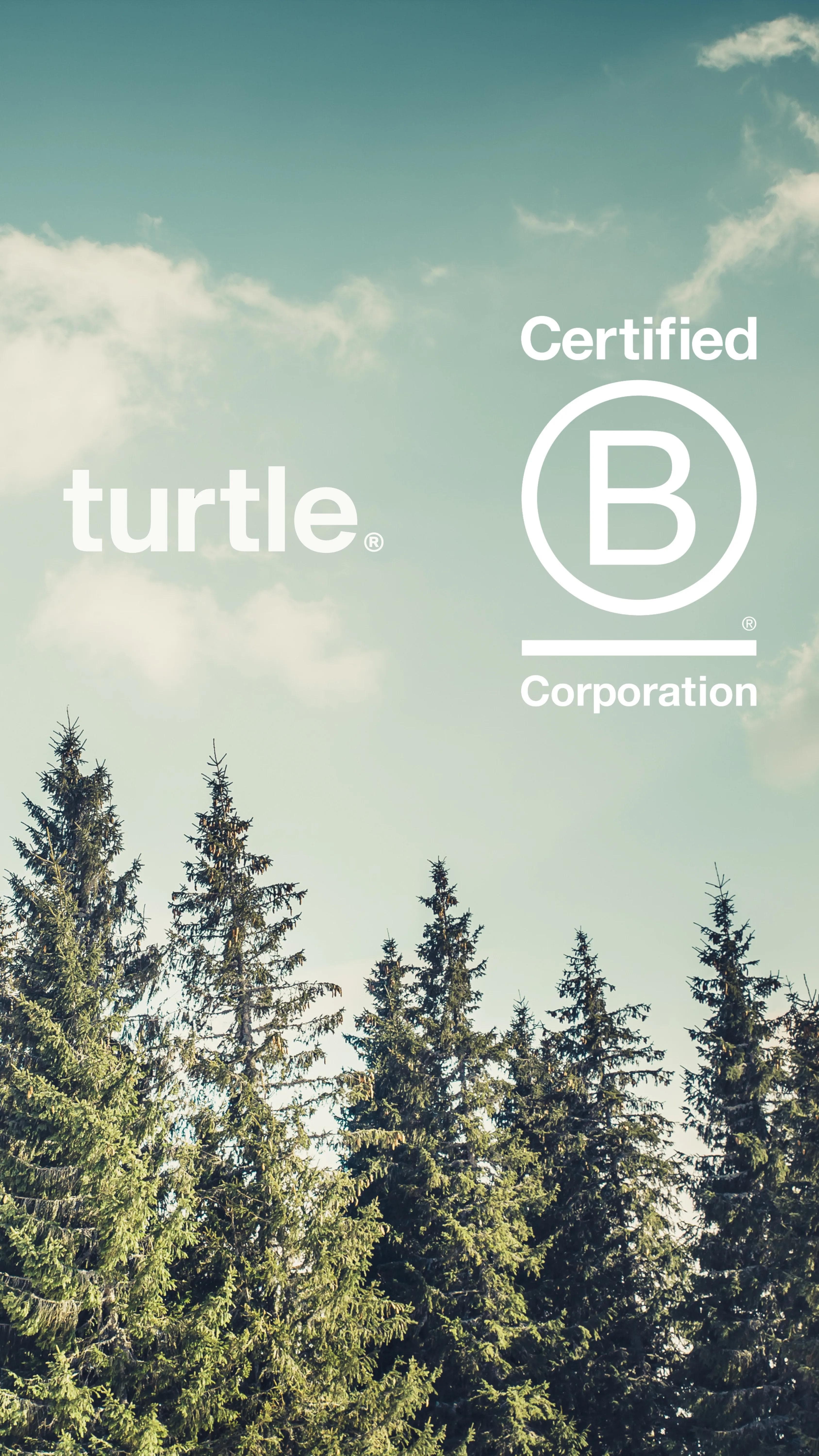 a logo for turtle corporation with trees in the background