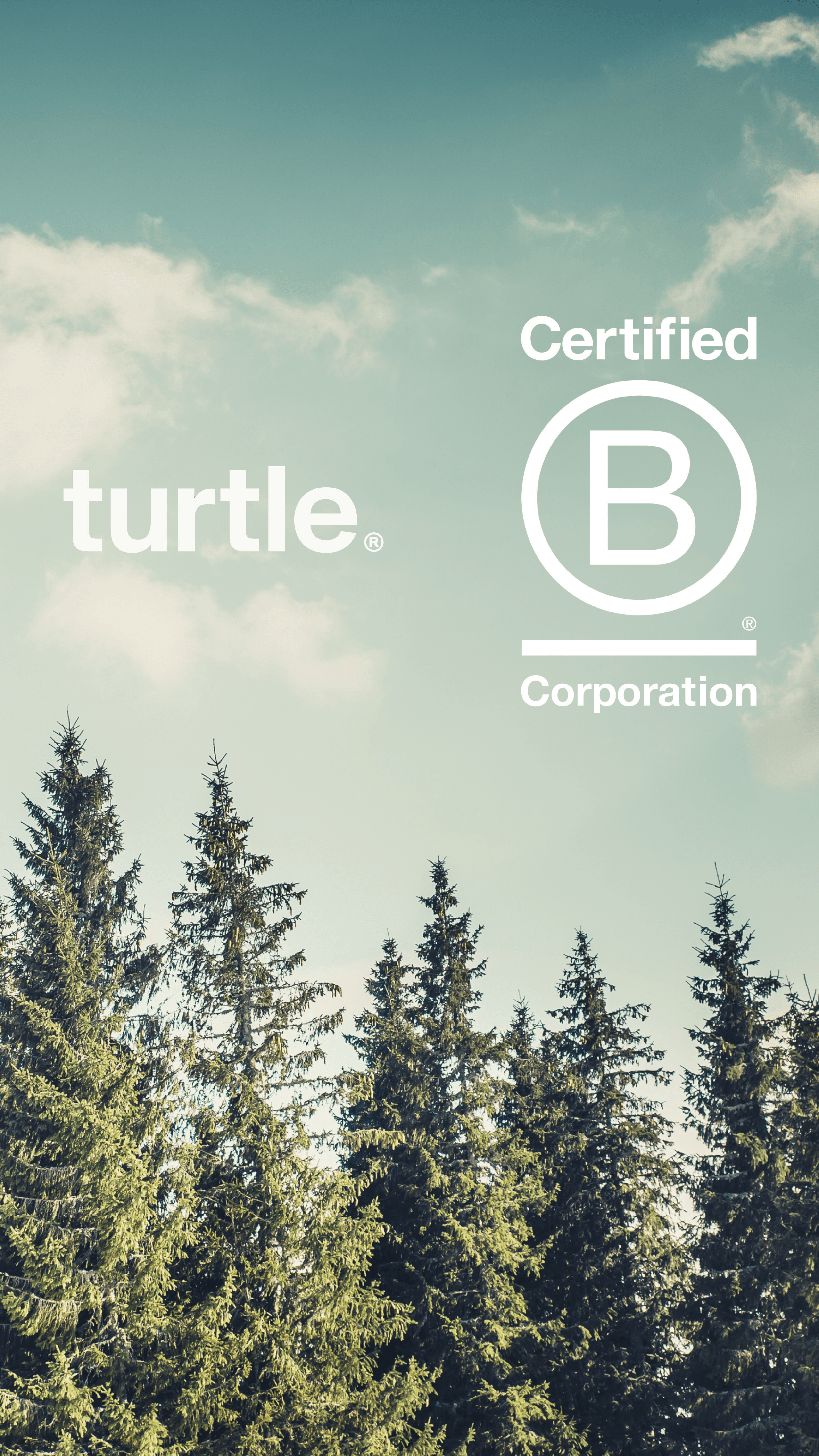 a logo for turtle corporation with trees in the background